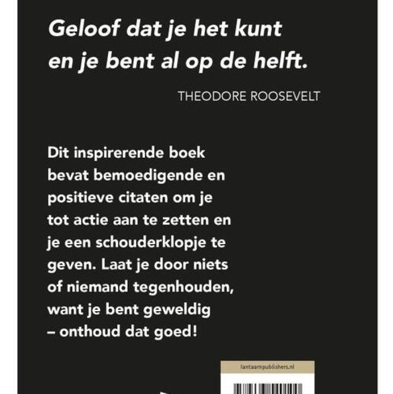 Citatenboekje 'You are so awesome'